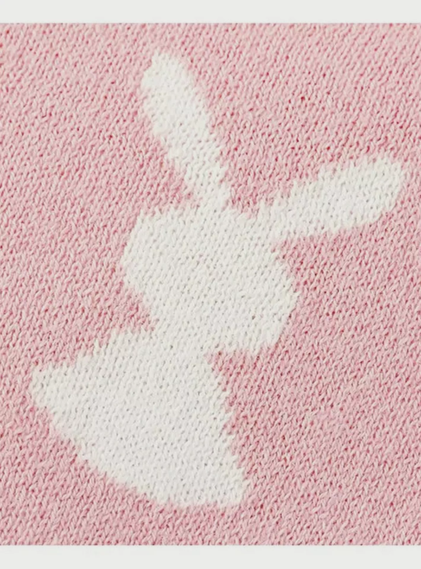 rabbit-babies-4