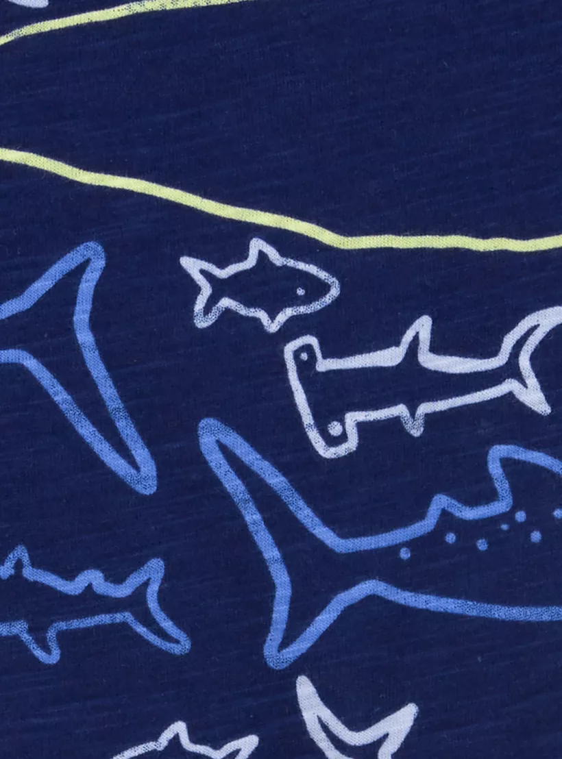 shark