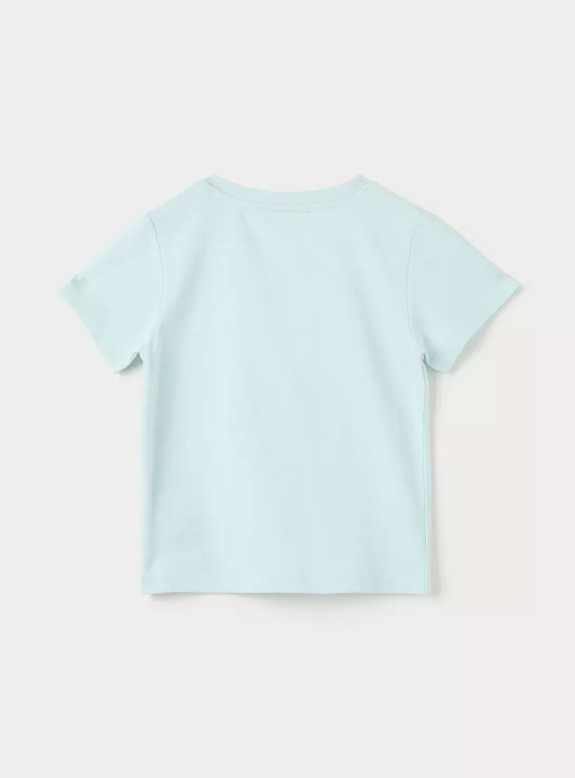lion-print-on-shirt-sky-color-2