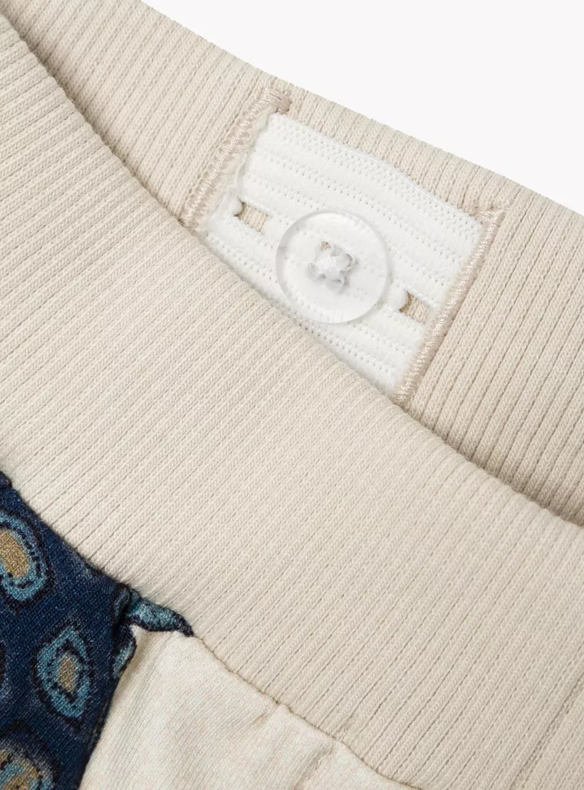 tortoise-print-short-2