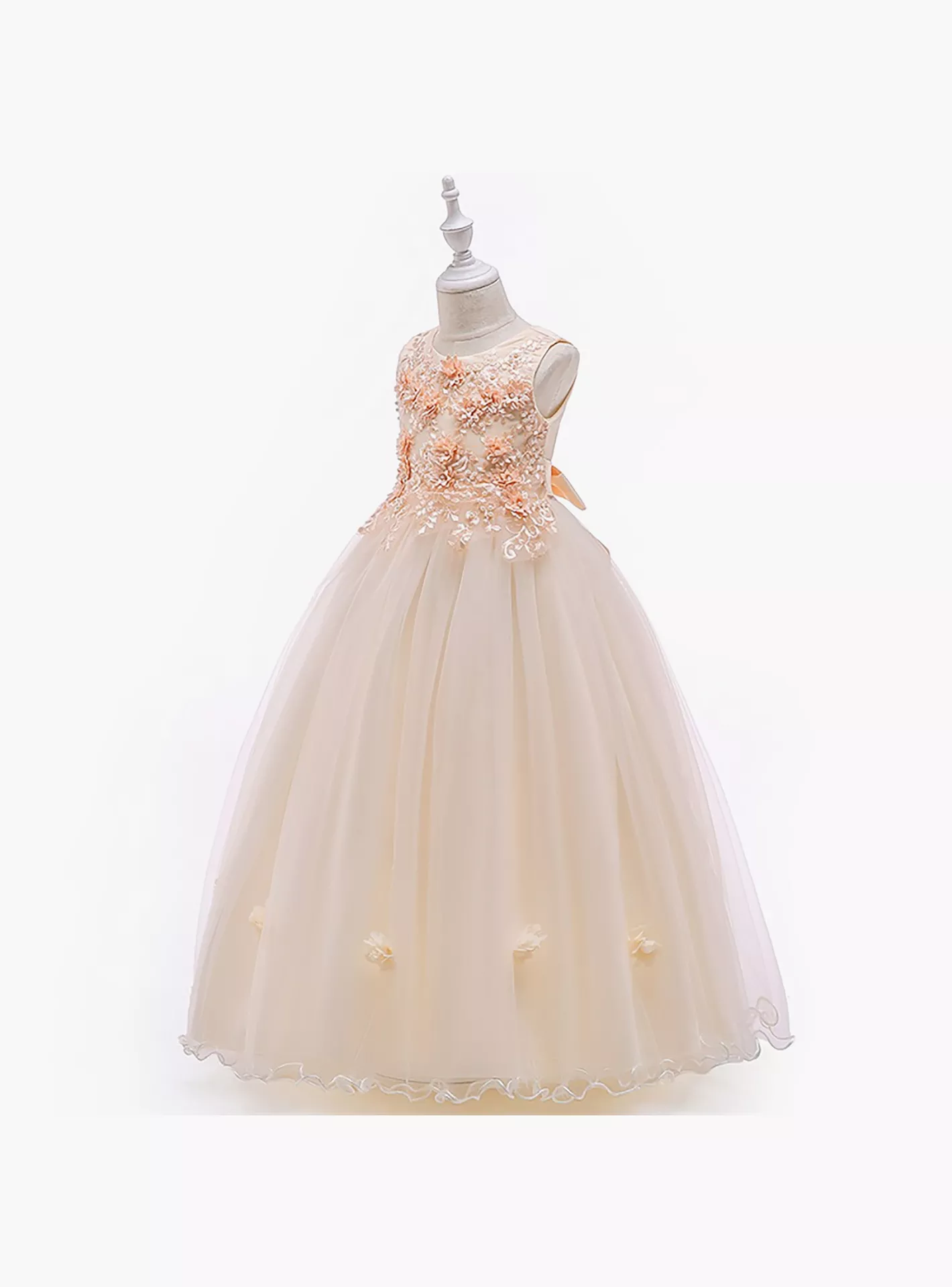 Ddaniela Ana Embroidered Sleeveless Party Dress-2