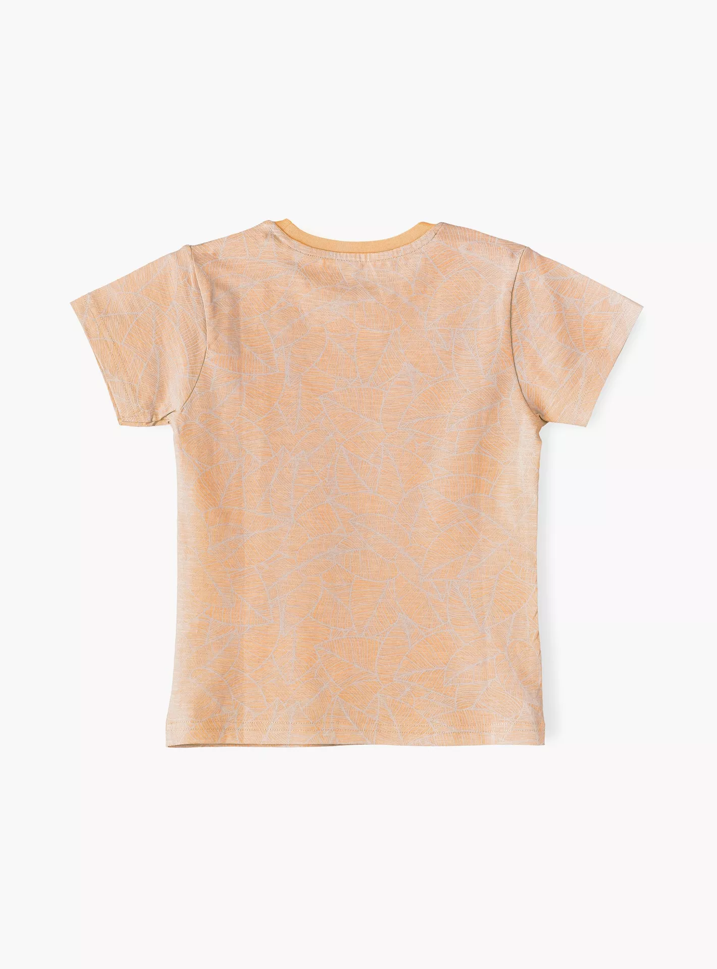 Babyqlo Printed Short Sleeves T-Shirt-2