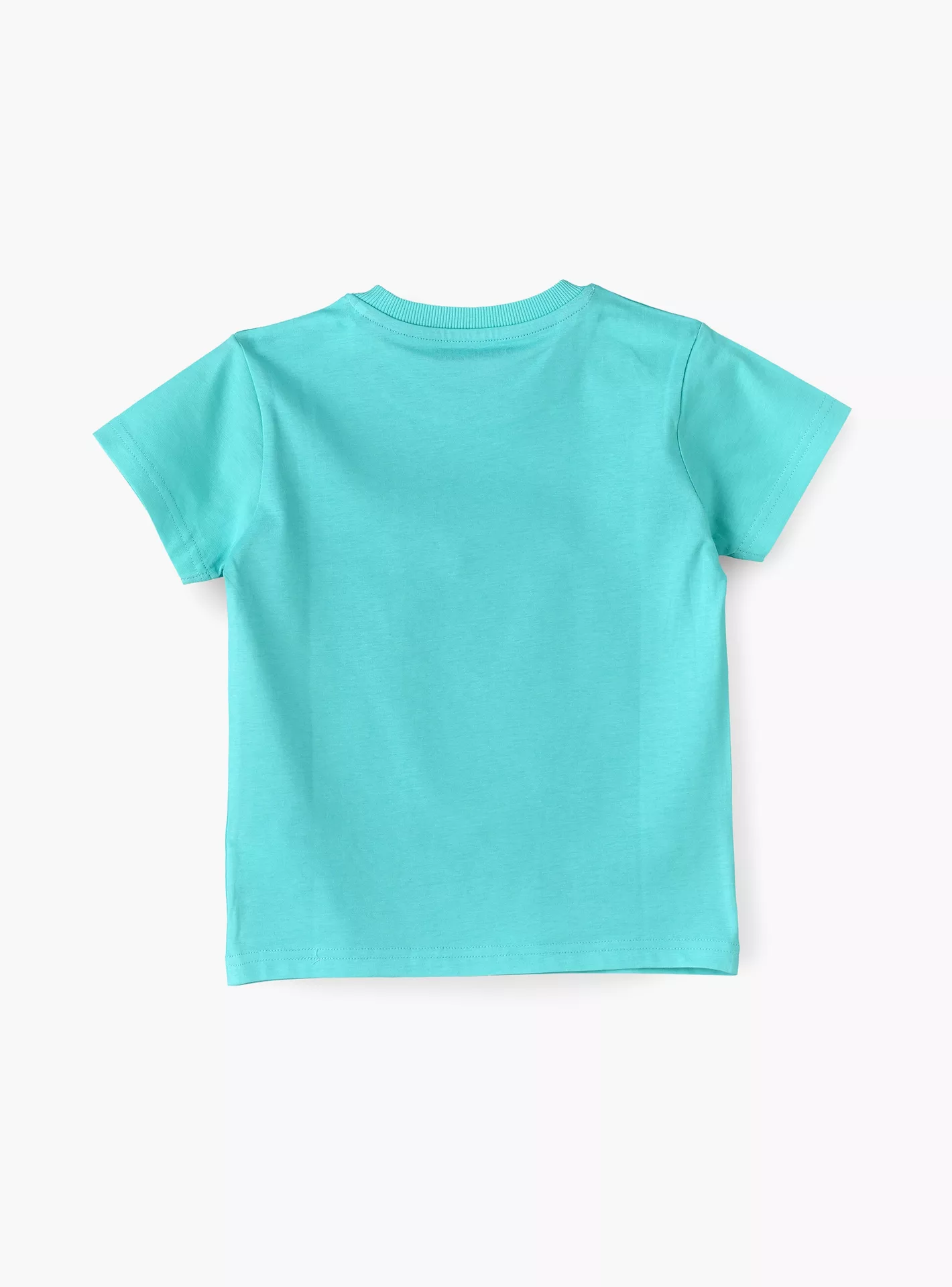 Printed Short Sleeves T-Shirt-2