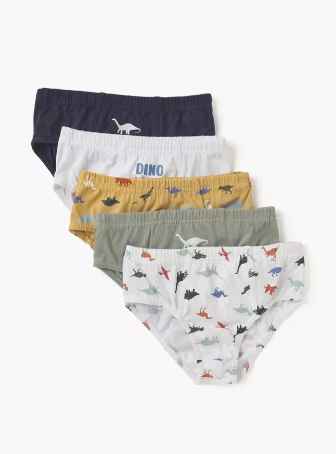 Juniors Dinosaur Print Briefs with Elasticated Waistband - Set of 5-1