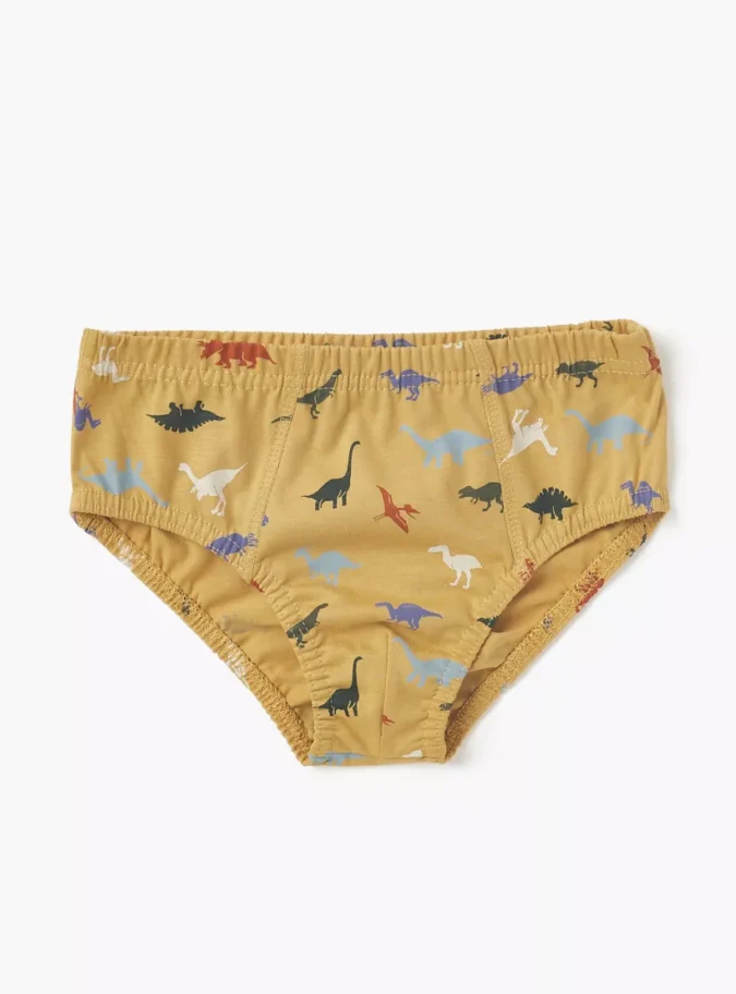 Juniors Dinosaur Print Briefs with Elasticated Waistband - Set of 5-2