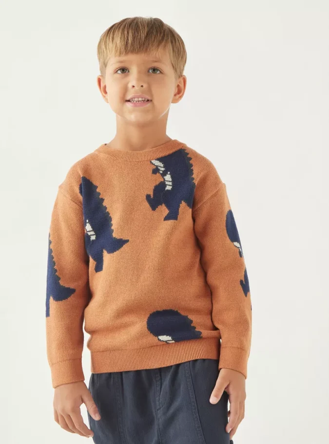 Juniors Dinosaur Textured Sweater with Long Sleeves and Crew Neck-1