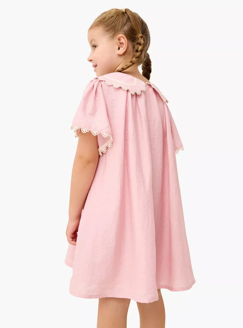 Lace Detail Peter Pan Collar Dress with Flutter Sleeves-3