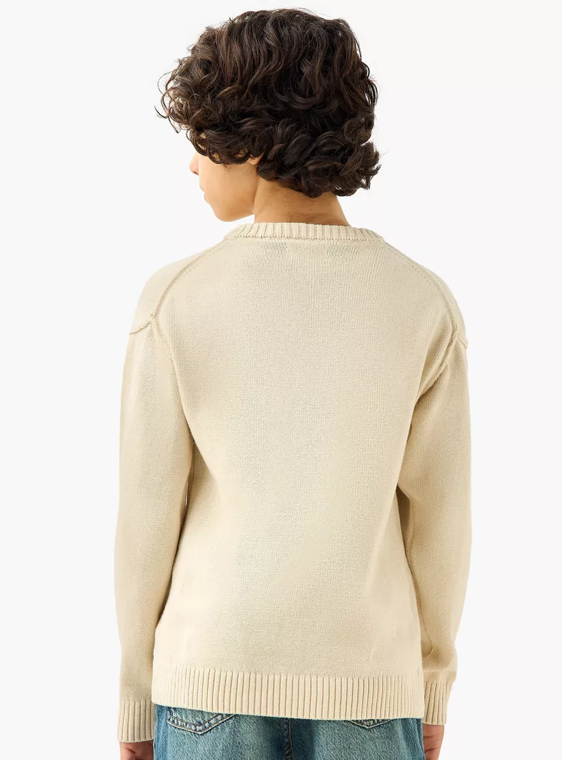 Juniors Textured Crew Neck Pullover with Long Sleeves-3