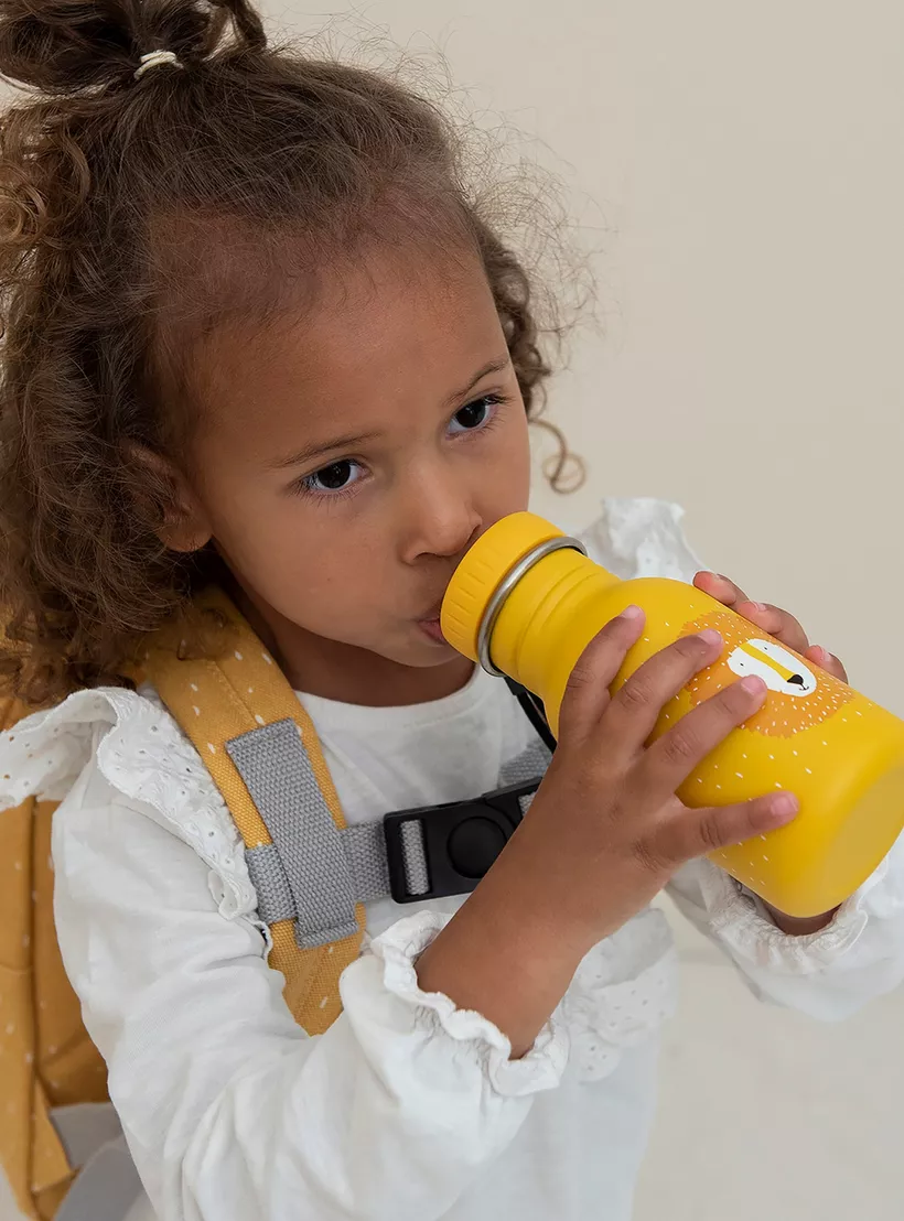 Trixie Bottle, 350ml, Mr. Lion-4
