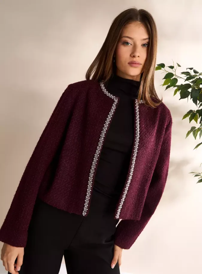 Embellished Crop Jacket-1