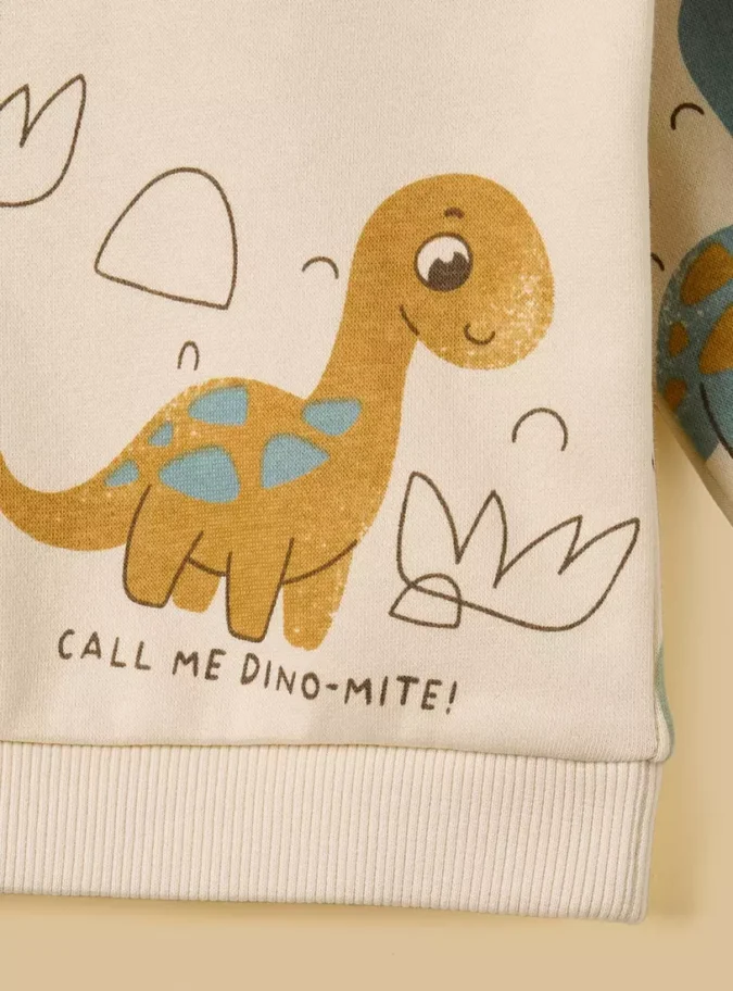 Dinosaur Print Sweatshirt -4