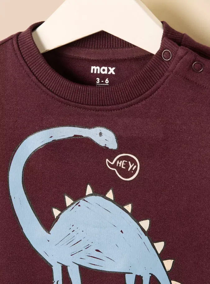 Pack of 2 - Dinosaur Print Cotton Sweatshirt-3