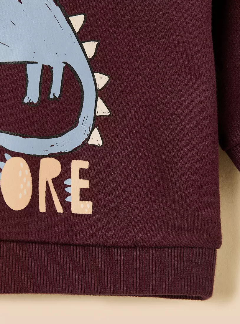 Pack of 2 - Dinosaur Print Cotton Sweatshirt-4