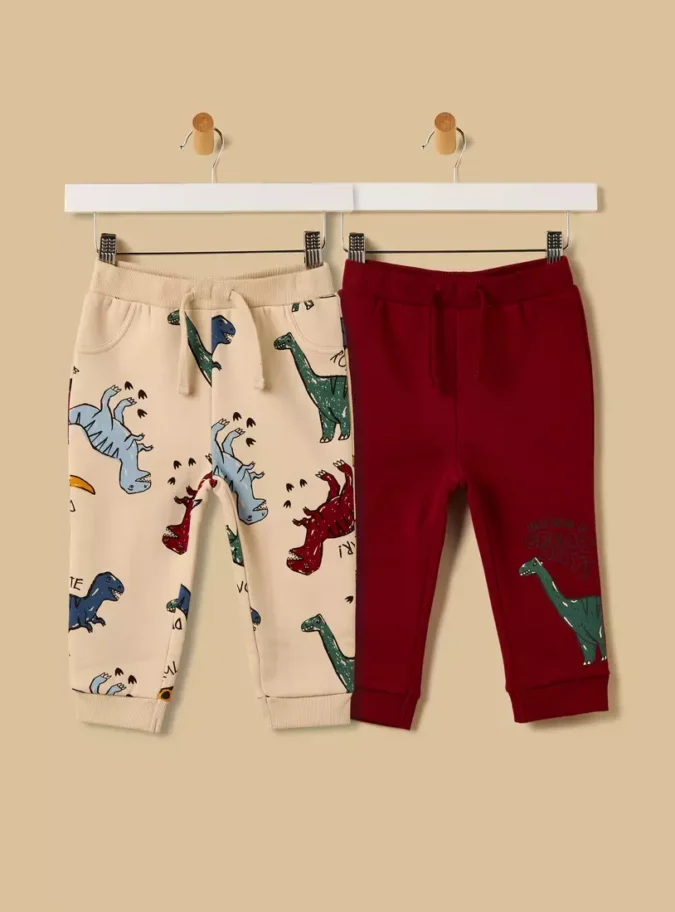 Pack of 2 - Dinosaur Print Joggers-1