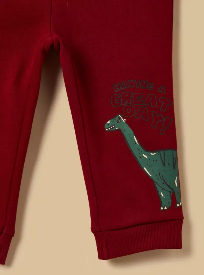 Pack of 2 - Dinosaur Print Joggers-4