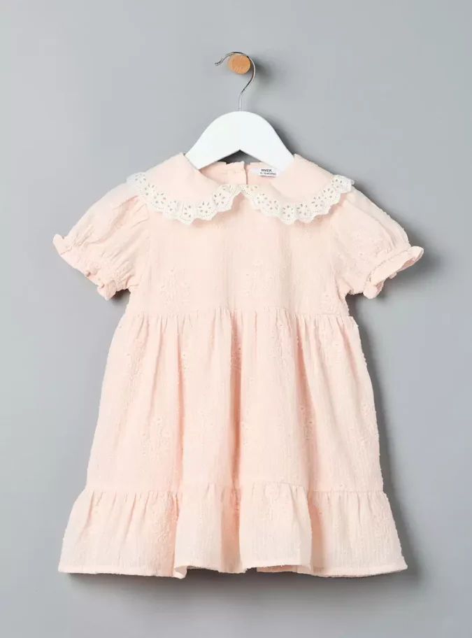 Embroidered Lace Collar Dress-1